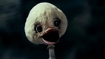 Вертикальные танцы: экстремальный вид искусства, от которого захватывает дух