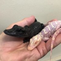 30 кошмаров, которые подкинула природа-мать