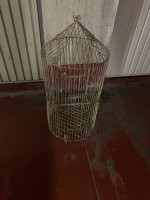 Я вот такую отдал , ретро штука , правда в ней были не волнистые а один какаду .