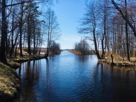 Круто было это все строить , когда покупали на всех этих сотках был гараж аля дом , жила семья каких то верующих ,  место хорошее , меньше 100 метров до моря и бассейн не нужно копать . Летом напахался по дому и к морю или к озеру , расстояние примерно одинаковое , до озера 600 метров .