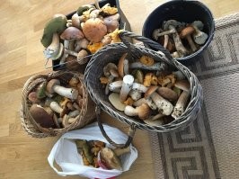 С сыном вышли погулять :)