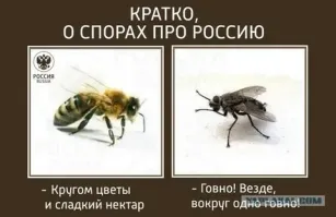 Крым. Первый раз на море. Беспризорные южные фрукты. Мидии. Рапаны