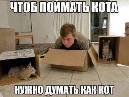 20+ забавных примеров того, как можно привлечь кота 