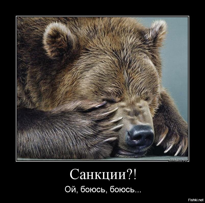 боюсь картинки. ой боюсь боюсь. я не трус но я боюсь. я хомячков не боюсь. боюсь ой ой.