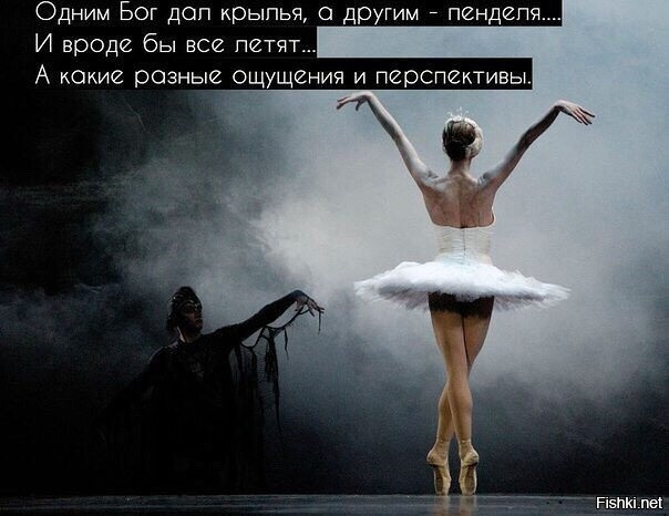 Холы испытывают чувство полета. Считают, что им дали крылья, когда в натуре был пендель.