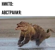 35 кошмарных фото, которые доказывают, что природа – страшная штука