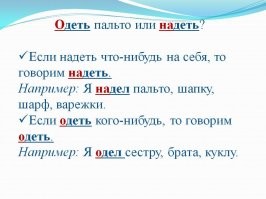Винсент - гигантский мэйкун, похожий на черную пантеру