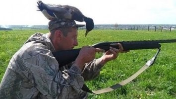 30 кошмаров, которые подкинула природа-мать