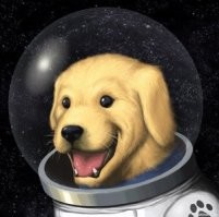 Намешалось