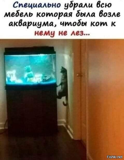 Смешные и познавательные картинки