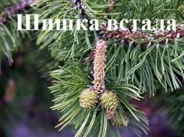 А как же...