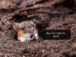 Технологии и смекалка: как обходились без привычных сегодня вещей