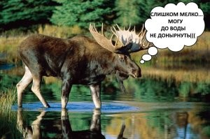 17 удивительных фактов, в которые сложно поверить