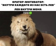 Ох, уж этот леденящий кровь в жилах взгляд "прирожденной хладнокровной машины-убийцы"... Никогда его не забуду, после того как столкнулся с ним впервые. 
   Если память меня не подводит (и если у матерого не было брата-близнеца), то наши тропинки пересекались лет 10-12 назад в токсидермической-экспозиции на горе Ахун в окрестностях славного города-курорта Сочи))))