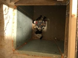 15 людей, которые обнаружили в своих домах неожиданные и любопытные находки