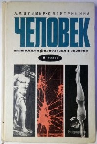 Ну чё-попало...
Не было никаких курсов. Во всяком случае, повсеместно.
Были учебники. Ну и учителя.