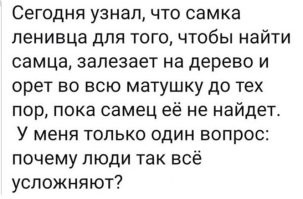 Дебилка. Орала бы под деревом, пока сама залезет, пока самец залезет.