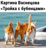 Жизненные мемы, которые лучше всего отражают вот это всё