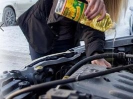 Школа ломает гендерные стереотипы и обучает девочек, как нужно ухаживать за автомобилями