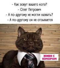 Смешные комментарии из&nbsp;социальных сетей-67