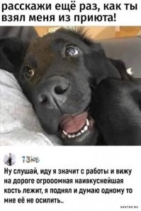 Смешные и познавательные картинки