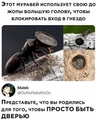 Смешные и познавательные картинки