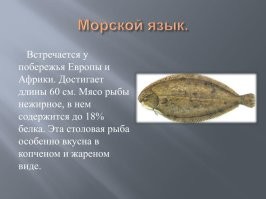 Что такое «морской язык», и сложно ли на нём говорить?