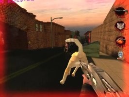 а где котэ из  postal?