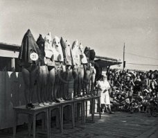 15 удивительных исторических снимков, которые рвут все шаблоны и устои