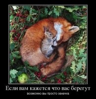 Зайцу чёт не спится...
