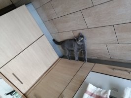 15 изображений, которые доказывают, что всё дело в перспективе