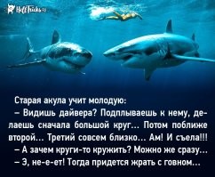 За шаг до трагедии, или Ангел-хранитель в действии