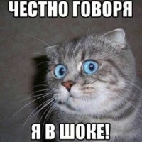 Почему на Тайване между туалетом и комнатой стеклянная стена?