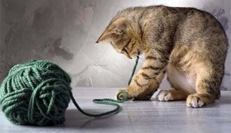 Намешалось