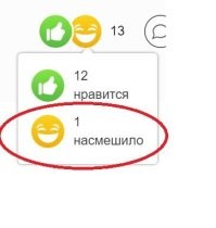Ишь, какого-то дебила это насмешило!