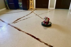 "Покажи, что у тебя есть питомец, одной фотографией": 20+ забавных примеров