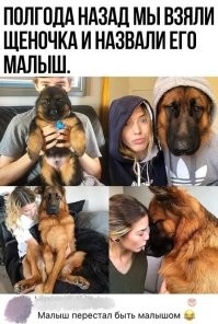 Это малыш пол сменил, или родители его на девку поменяли?