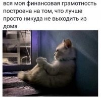 "Собрались с женой в отпуск. Посмотрели цены и решили, что не так уж и сильно мы устали..."