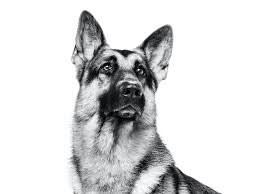 Дебилы, бл-ть!