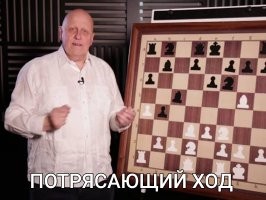 Не удивлюсь, если ГИБДД эту сходку и организовал