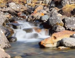 30 любопытных находок, которыми поделились пользователи сети