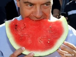 Кусай и не вы...