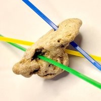 "Куриный бог" далеко не редкость. Вот эти - оставшиеся из найденных в один день почти двух десятков на пляже в Судаке или Коктебеле, не помню уже, остальные раздарены. В камне с тремя отверстиями есть ещё одно, маленькое.

Из самых интересных находок - сломанный каменный топор, к сожалению, во время переезда прошлёпали; и обломок амфоры с отпечатком пальца мастера на ручке.