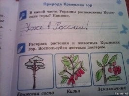 Неожиданные ответы из анкет для друзей