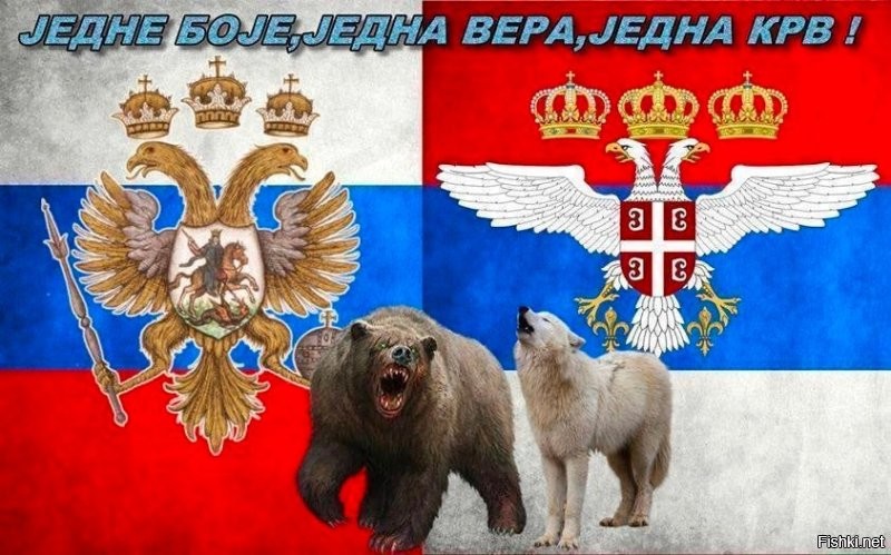 Политическая солянка. Часть 294
