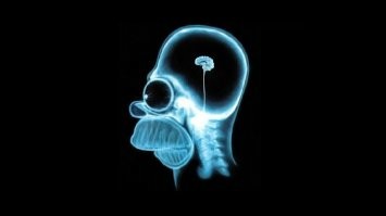 Шутки коллег, от которых хочется уволиться