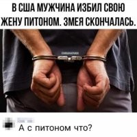 а с питоном нормально все - куча людей на нем программирует 
и вроде как выглядят +\- адекватно на людей как минимум не кидаются если пивом прикармливать то вообще ласковые становятся