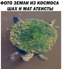 Во-первых - где слоны?
Во-вторых - все знают, что никакого космоса не существует.
Шах и мат, фейкомётчик!