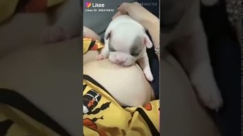 Чернуха (Тёмный юмор)