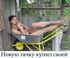 Встретились два старых товарища, живущие теперь уже на пенсии в своем доме в деревне.

Разговор, как всегда, "за жизнь". Дошли и до "на что живешь?". У одного дела так себе, а другой процветает. Вот и говорит "процветающий":

- А ты сделай, как я. Заведи себе свинью, своди ее с хряком, расти поросят и продавай их. Отличный бизнес получается!

"Неуспевающий" так и сделал - купил себе свинью. Спрашивает в своей деревне:

- А у кого здесь хряк есть?

Ему говорят:

- С этим у нас не очень-то! Ближайший хряк есть только в Пронькино. А это - километра три по полям если...

Мужик озадачился, но не растерялся - купил себе тачку. С утра свинью помыл, посадил в тачку и в Пронькино рванул. Ну, а свиньи там новому знакомству очень обрадовались.

С утра мужик встал и пошел первым делом в хлев к свинье. Смотрит - нет поросят!

Наверное, что-то не так у них вышло! - подумал мужик. Помыл он свою свинью снова, посадил в тачку и дунул в Пронькино. Там свиньи еще больше старому знакомству порадовались.

Наутро он снова поросят в хлеве не обнаружил, снова помыл свинью и - в Пронькино!

Так прошло две недели. В очередной понедельник утром измаявшийся в конец мужик говорит жене:

- Сходи, Маша, в хлев, глянь как там дела - есть ли уже поросята? Не будет, так зарежу заразу эту к чертовой матери!

Жена вскоре вернулась и говорит:

- Поросят там никаких нет, но свинья уже помылась и сидит в тачке!